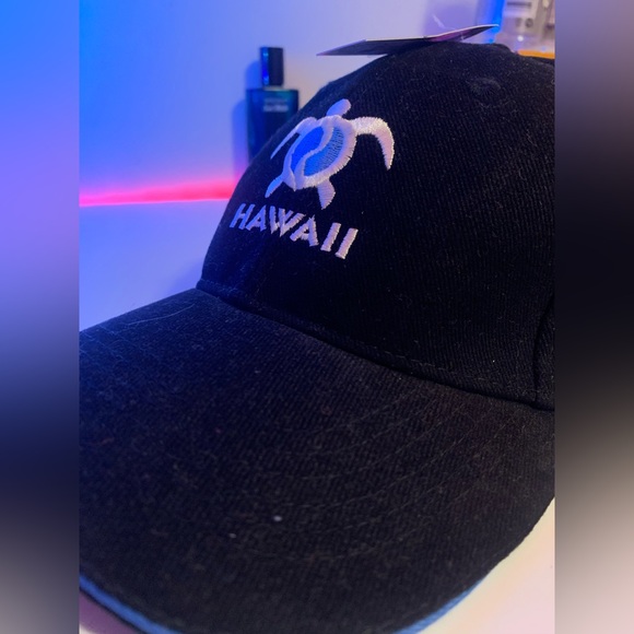Hawaii Hat Great Condition - Picture 2 of 4